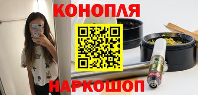 сатива Коммунар