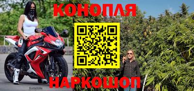 сатива Коммунар