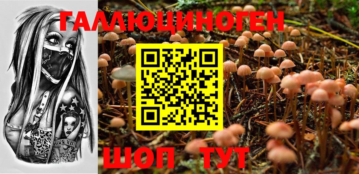 Кудымкар  Галлюциногенные грибы мицелий  Вход с VPN 